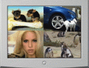 Fun-Video der Woche