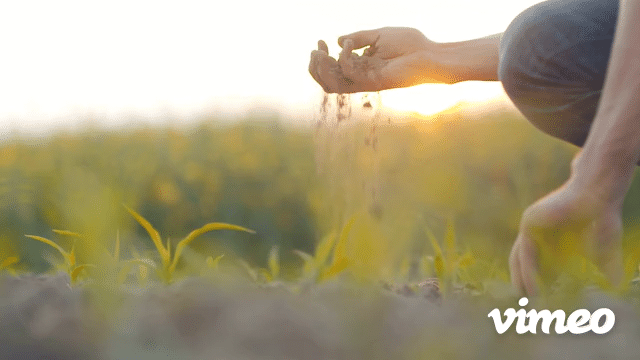 ROSARY Hgelbeet mit Teich